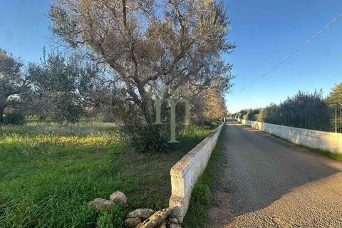 Helårsgrund i Carovigno, Brindisi, Carovigno - € 85.000 | Ref: TER.GROTTAMIRAN - foto 5